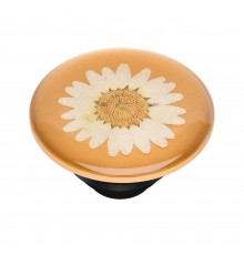 Suport pentru Telefon - Popsockets PopTop - Pressed Flower Daisy Alb