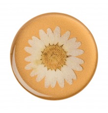 Suport pentru Telefon - Popsockets PopTop - Pressed Flower Daisy Alb